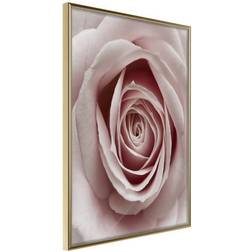 Arkiio Affisch Pastel Rose [Poster] 20x30 Poster